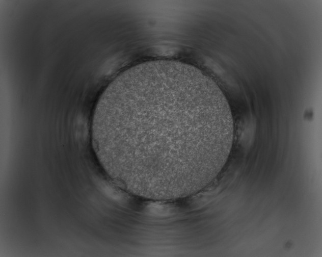 X0000101150568200807181337