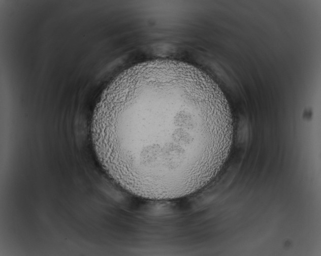 X0000101150569200807181337