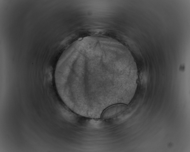 X0000101150570200807181337