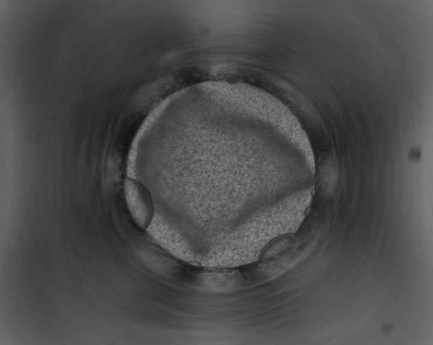 X0000101150571200807181337