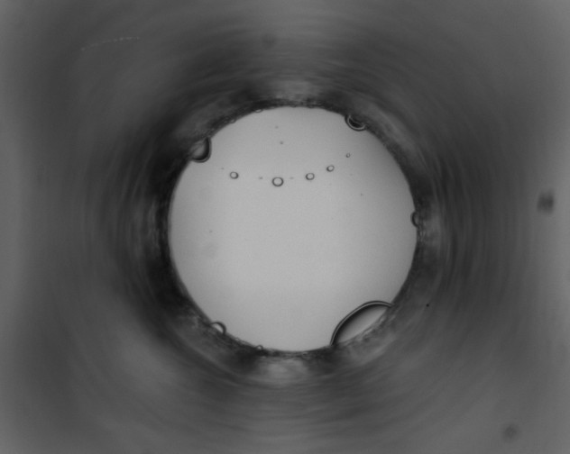 X0000101150572200807181337