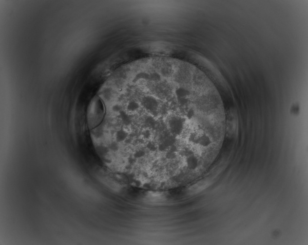 X0000101150573200807181337