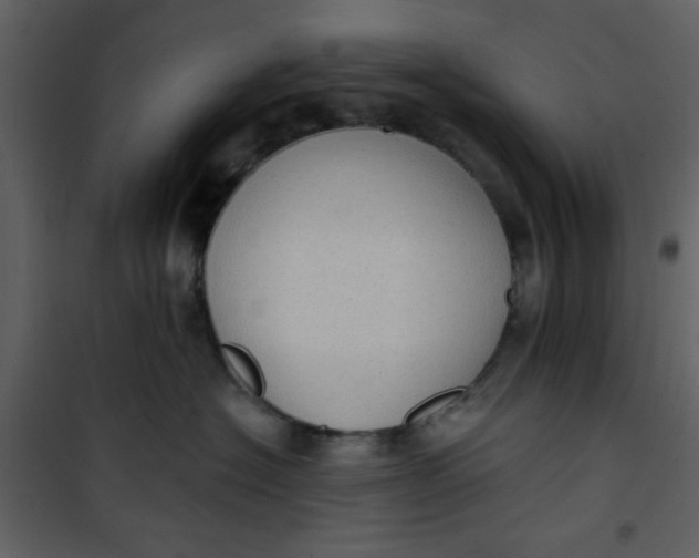 X0000101150574200807181337