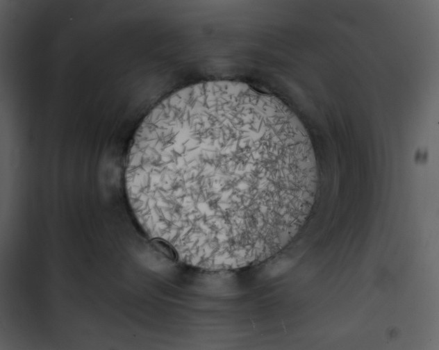 X0000101150576200807181337