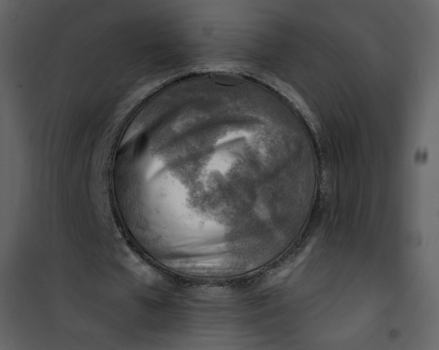 X0000101150577200807181336