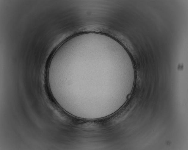 X0000101150578200807181336