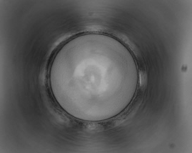 X0000101150579200807181336