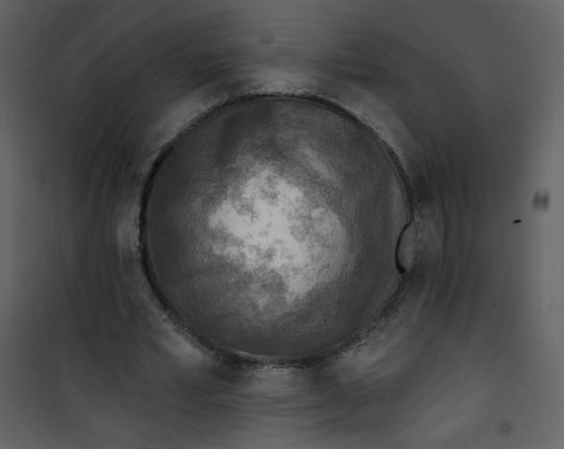 X0000101150581200807181336