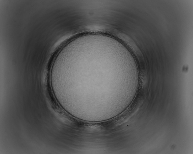 X0000101150583200807181336