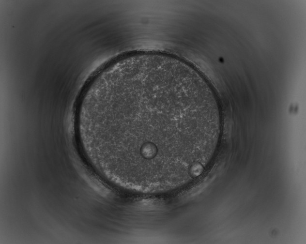 X0000101150584200807181336