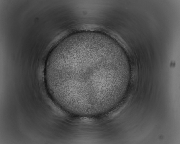 X0000101150585200807181336