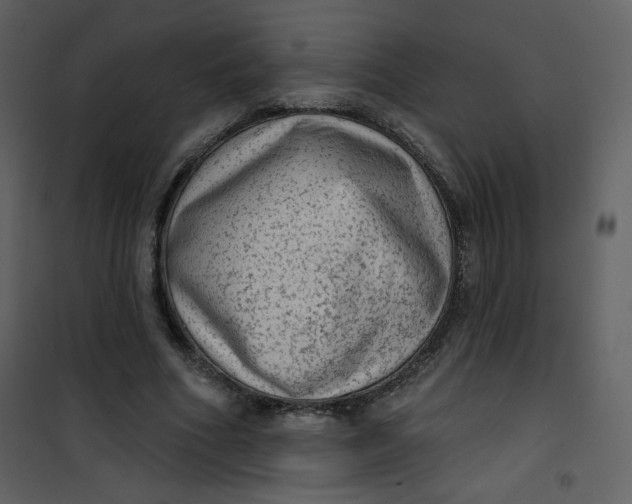 X0000101150586200807181336