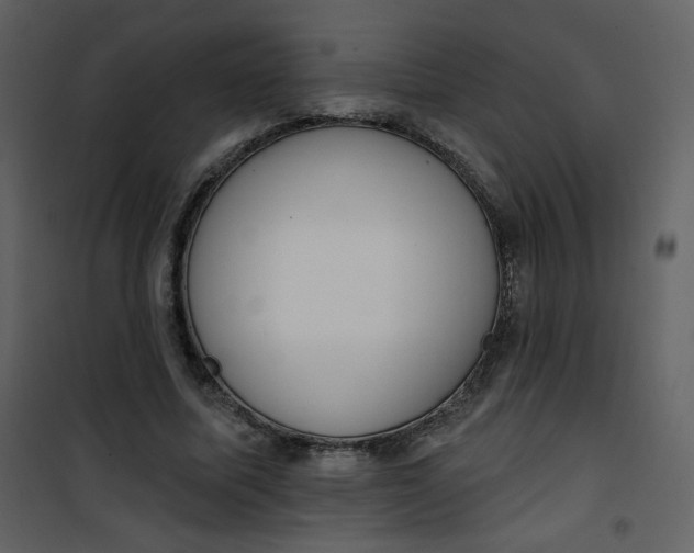 X0000101150587200807181336