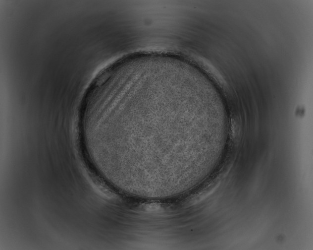 X0000101150588200807181336