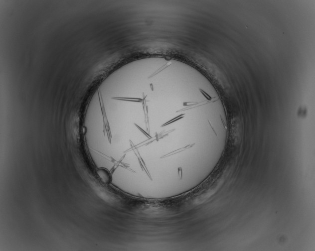 X0000101150589200807181336