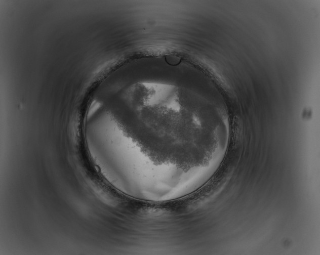 X0000101150590200807181336