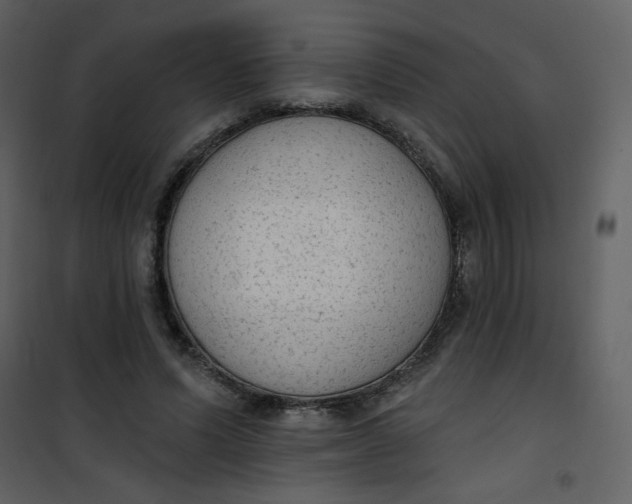 X0000101150591200807181336