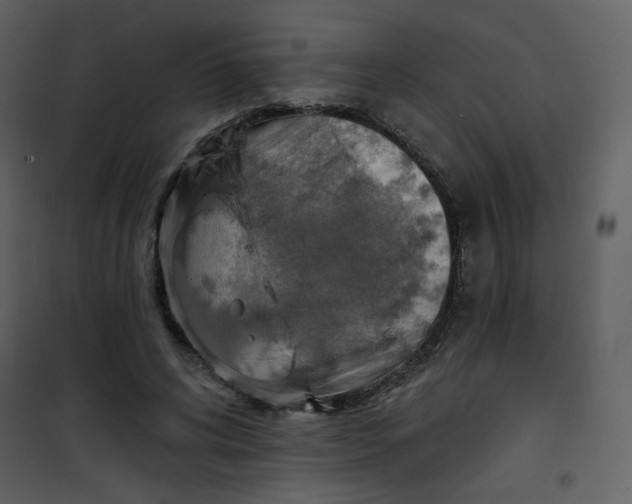 X0000101150592200807181336