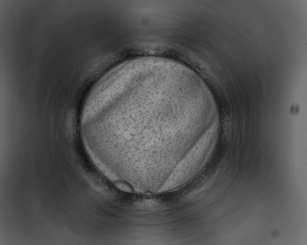 X0000101150594200807181336