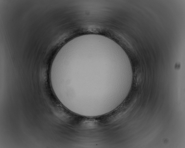 X0000101150595200807181336