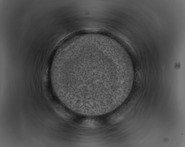 X0000101150596200807181336