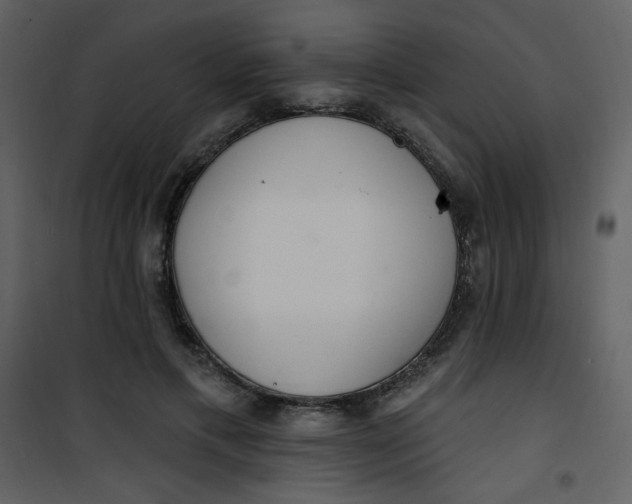 X0000101150597200807181336