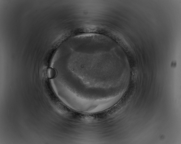 X0000101150598200807181336