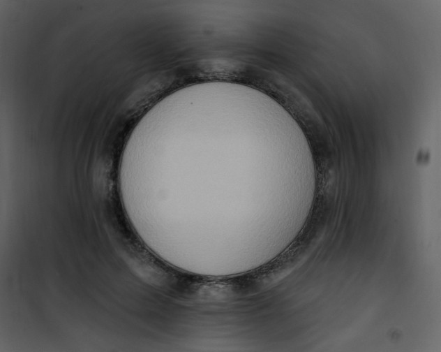 X0000101150599200807181336