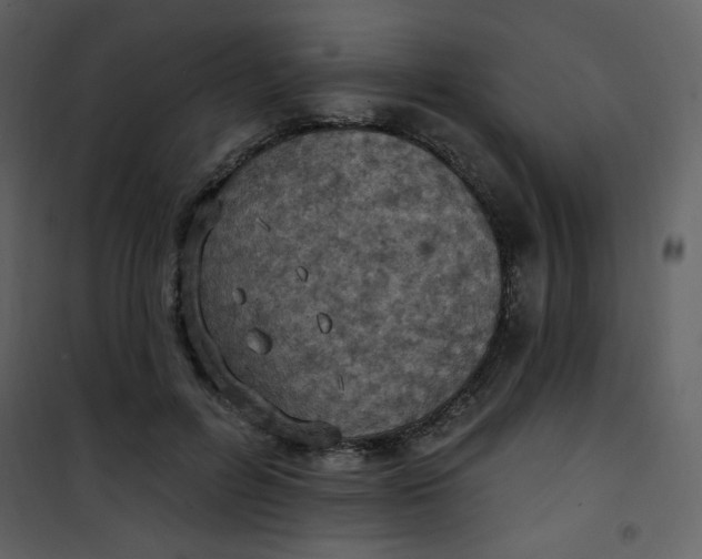 X0000101150600200807181336