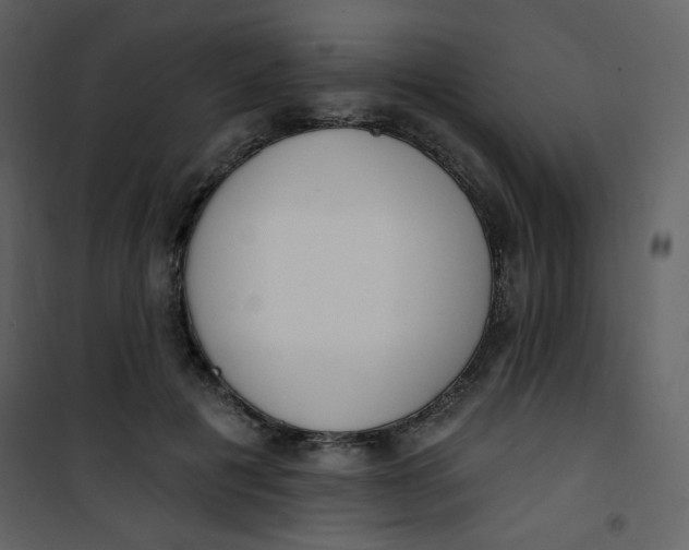 X0000101150601200807181336