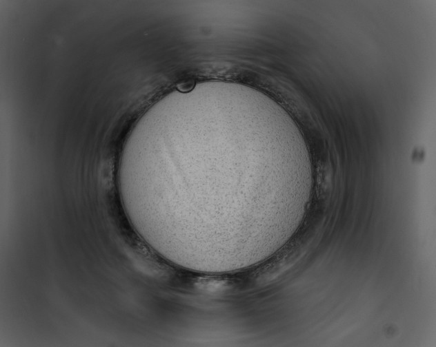 X0000101150602200807181336