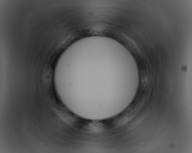 X0000101150603200807181336