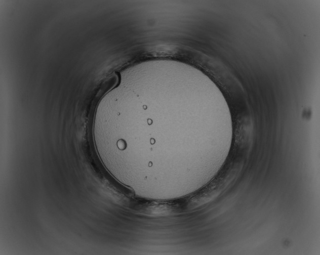 X0000101150604200807181336