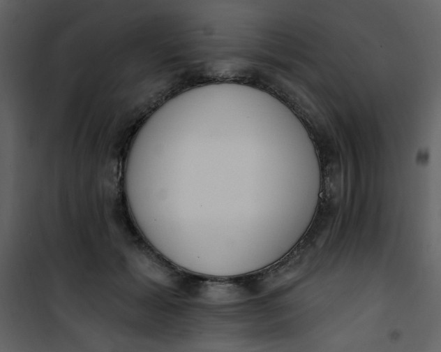 X0000101150605200807181336