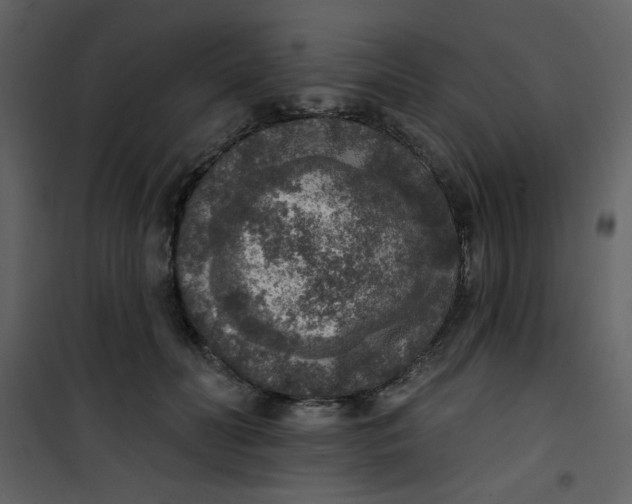 X0000101150606200807181336