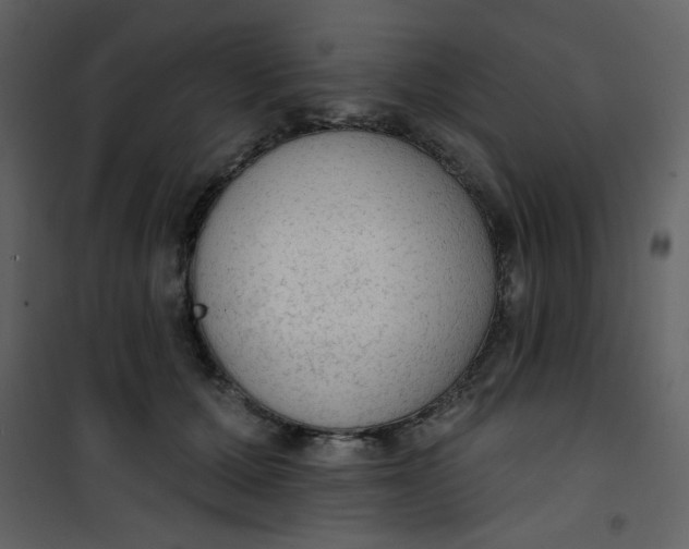 X0000101150607200807181336