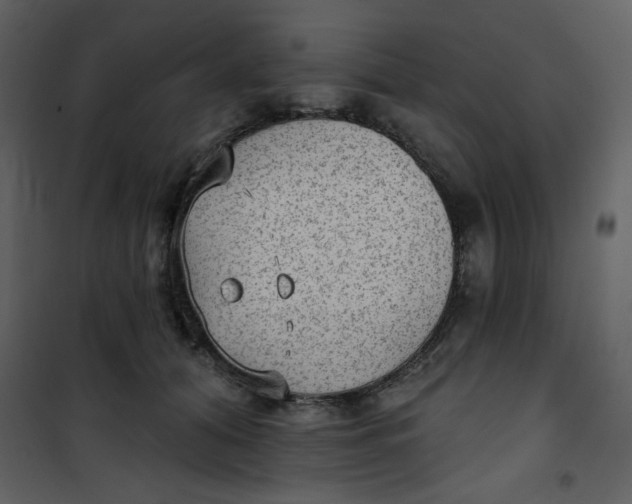 X0000101150608200807181336