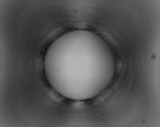 X0000101150609200807181336