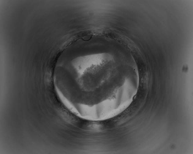 X0000101150610200807181336