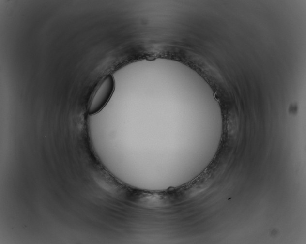 X0000101150611200807181336