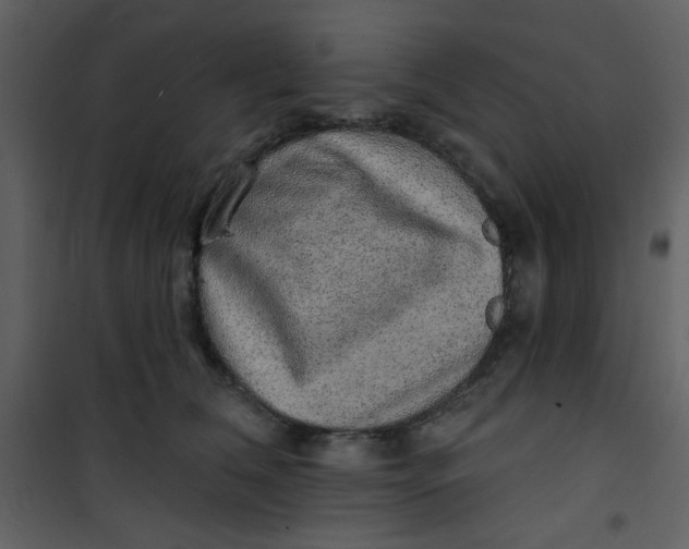 X0000101150612200807181336