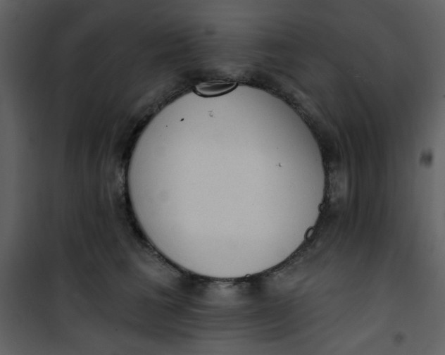 X0000101150613200807181336