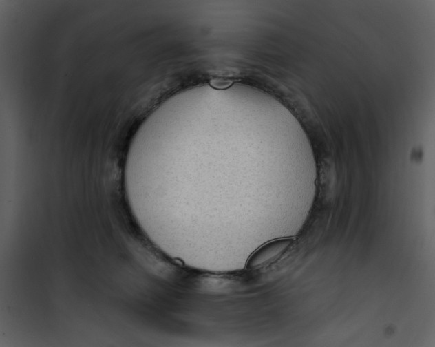 X0000101150614200807181336