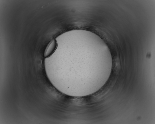 X0000101150615200807181336