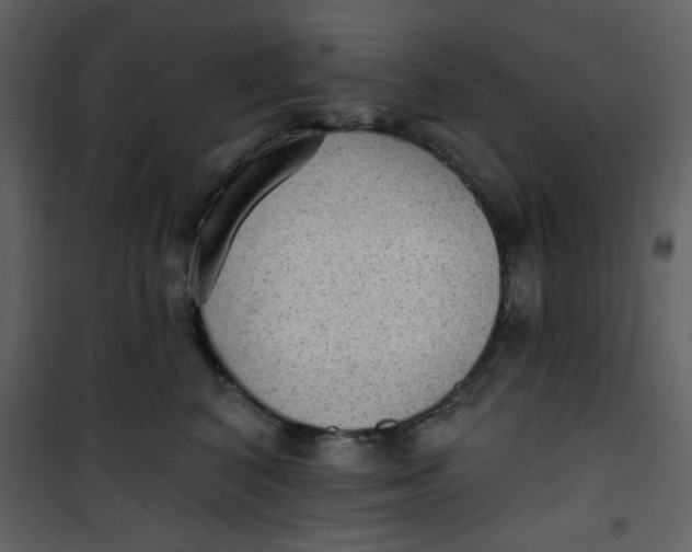 X0000101150616200807181336