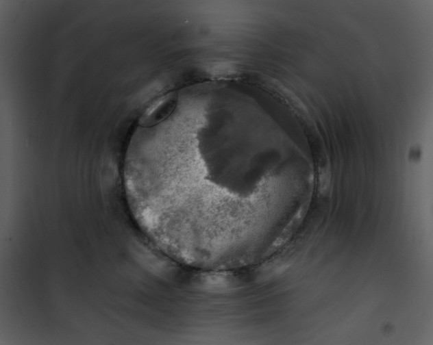 X0000101150618200807181336