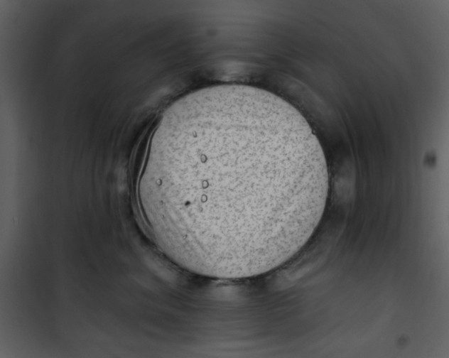 X0000101150620200807181336