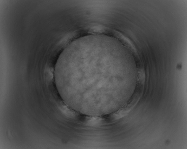 X0000101150621200807181336