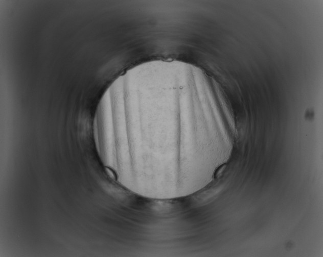 X0000101150623200807181336