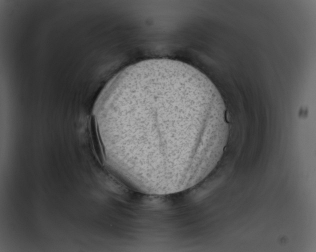 X0000101150624200807181336